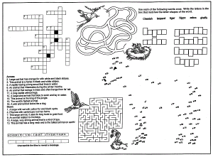 Animal Kid's Placemats Menus for Restaurants